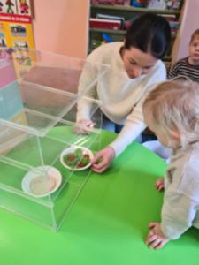 Naujienos „Sveikatos valandėlė „Sveikos mitybos piramidė““ galerija. Nuotrauka 1 iš 5