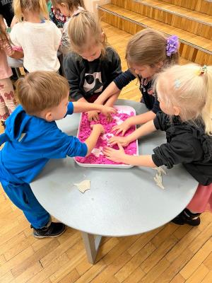 Naujienos „Edukacinis užsiėmimas „Kiekvienam paukšteliui savi nameliai““ galerija. Nuotrauka 6 iš 9