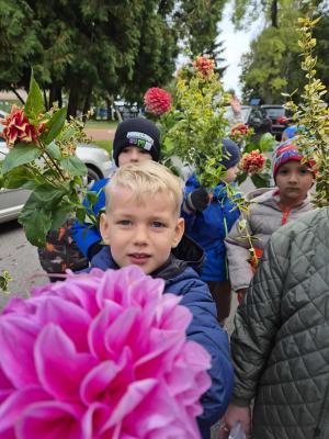Naujienos „Gamta piešia mandalą“ galerija. Nuotrauka 9 iš 30