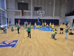 Naujienos „Mokomės žaisti krepšinį “ galerija. Nuotrauka 13 iš 15