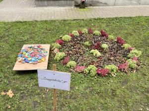 Naujienos „Gamta piešia mandalą“ galerija. Nuotrauka 6 iš 30